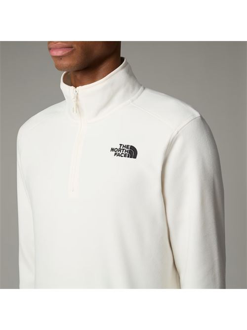 m 100 glacier 1/4 zip THE NORTH FACE | NF0A855W4HP1